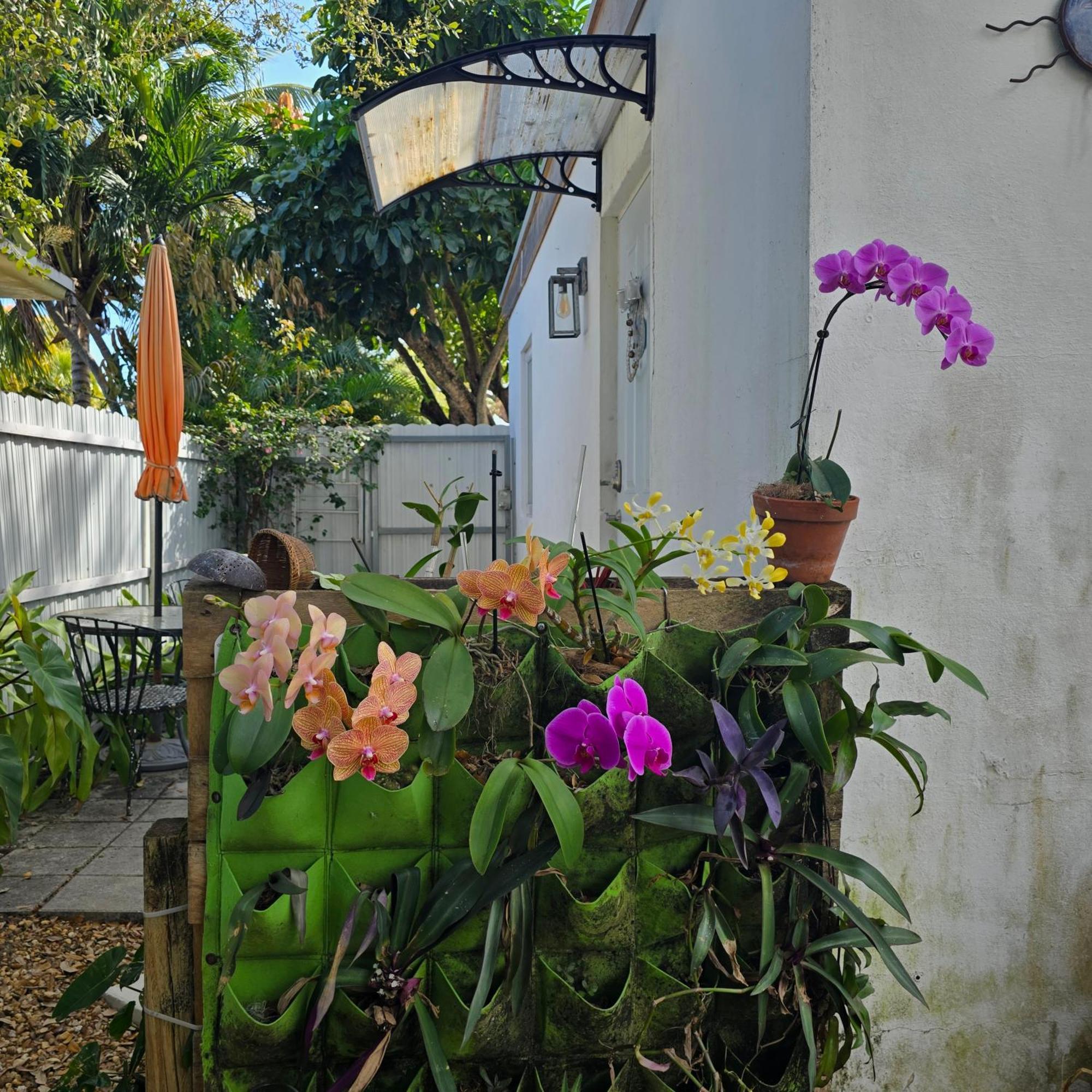 Suite Life At Chez Mercedes ไมอามี ภายนอก รูปภาพ